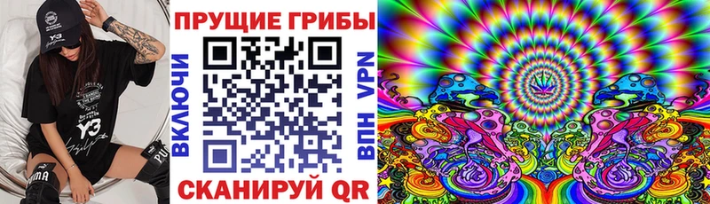 как найти   Джанкой  Галлюциногенные грибы MAGIC MUSHROOMS 